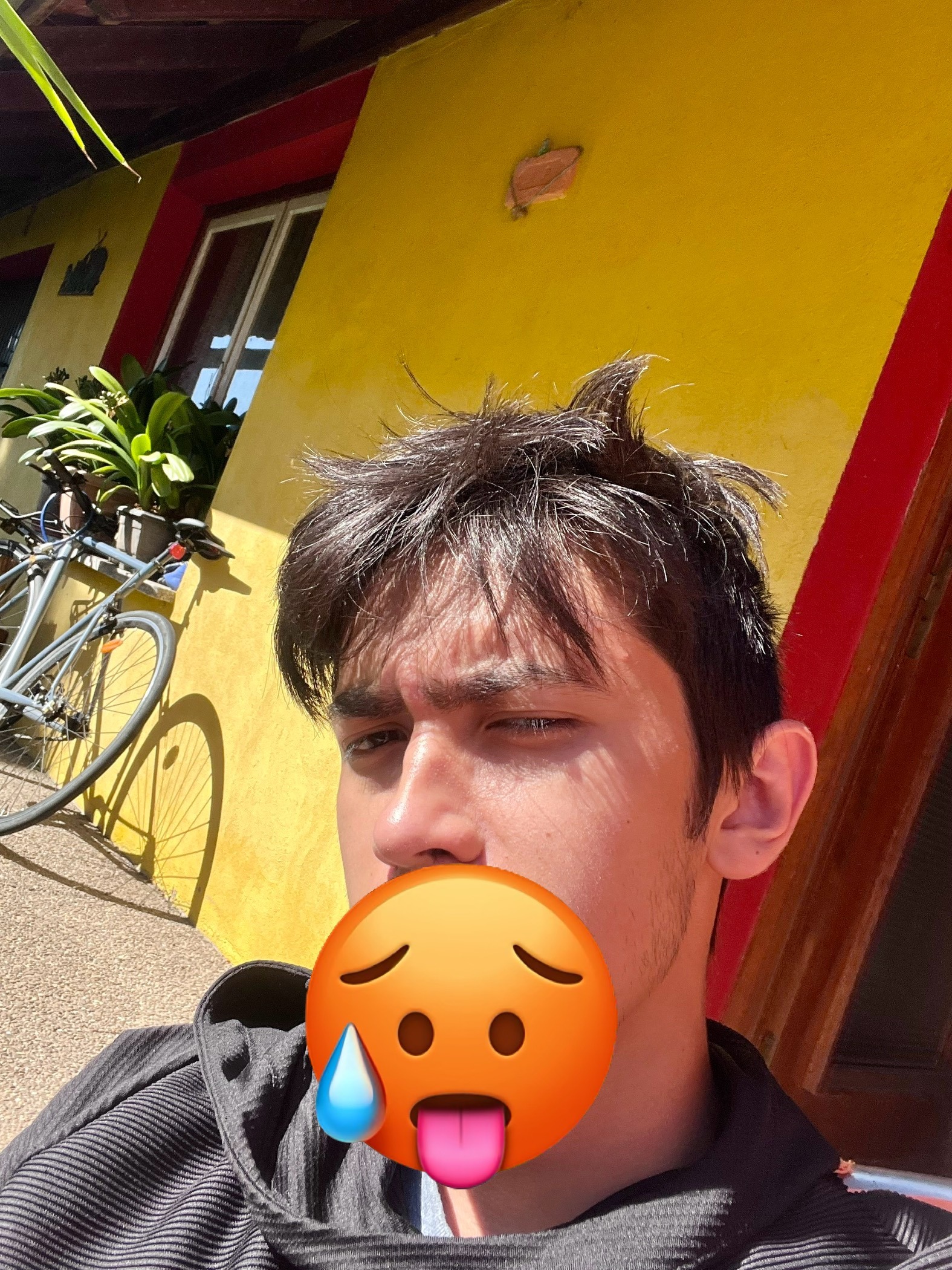 Profil de Zino, 22 ans, Escort TS Luxembourg à Grass