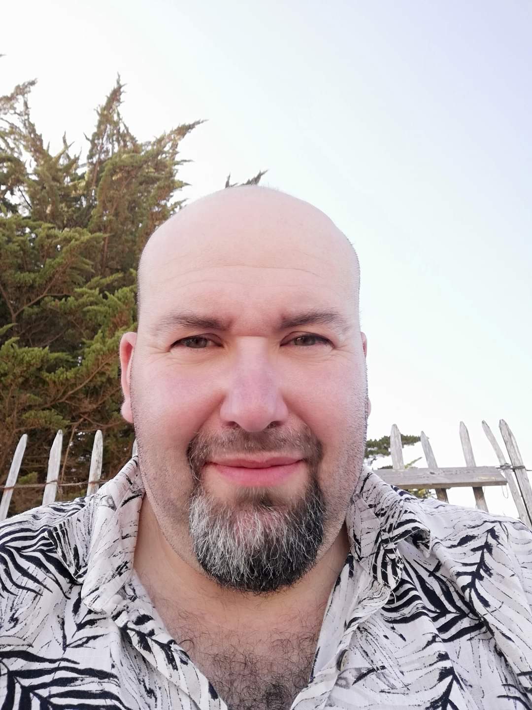 Profil de Alpha, 49 ans, Escort TS Luxembourg à Bech